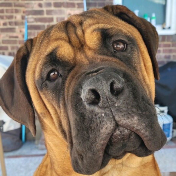 Meet your Posher, Lisa - Picture 10 of 11